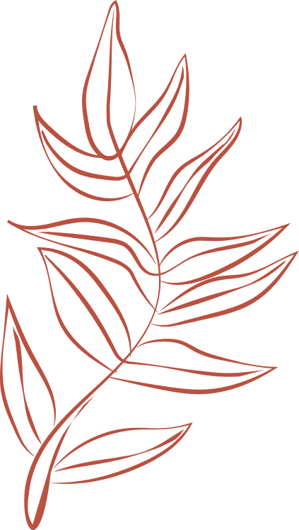 illustration of a leaf.
