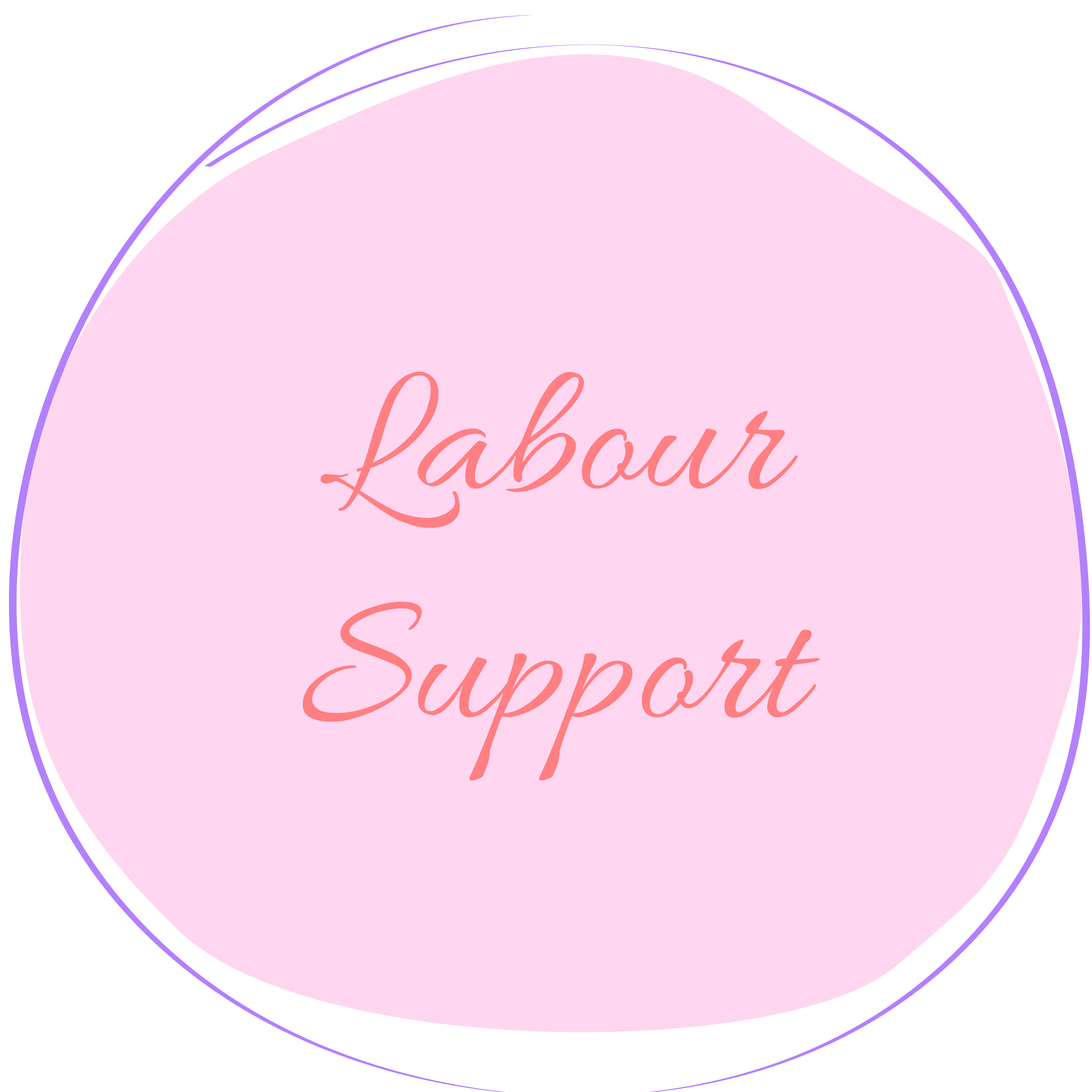 Labour Support image