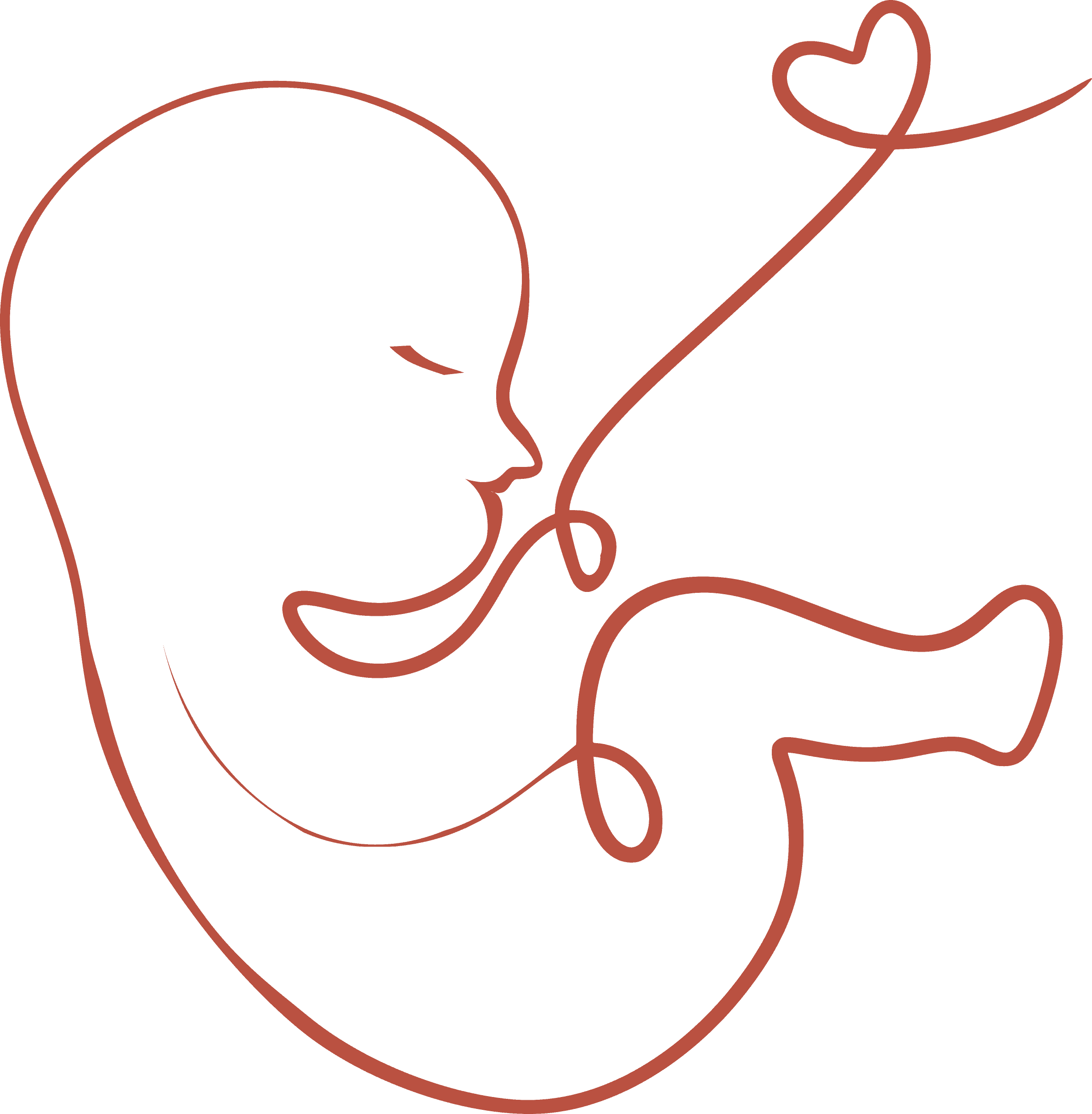 An illustration of a baby in the womb were